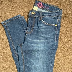 Wishful Park Skinny Jeans